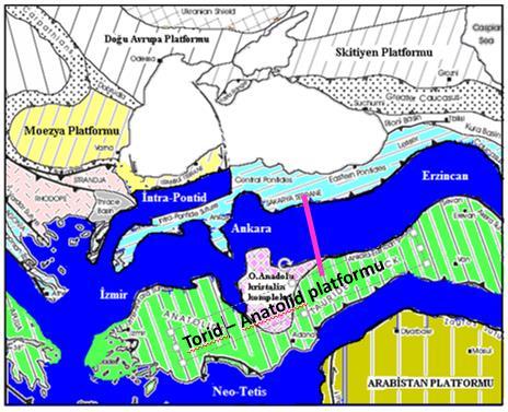 Fakat bazı yazarlar ise, havzanın kapanan Mesozoyik Tetis okyanus kabuğunun Sakarya Kıtası ve Kırşehir Masifi altına dalması sonucu yay önü havza olarak geliştiğini öne sürmektedir (Oktay