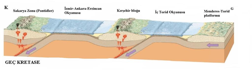 Ofiyolitik napların yerleşmesi Tüm alpidlerde olduğu gibi Türkiye de de Neotetis tektonik gelişmelerinin meydana geldiği bir süreçtir.
