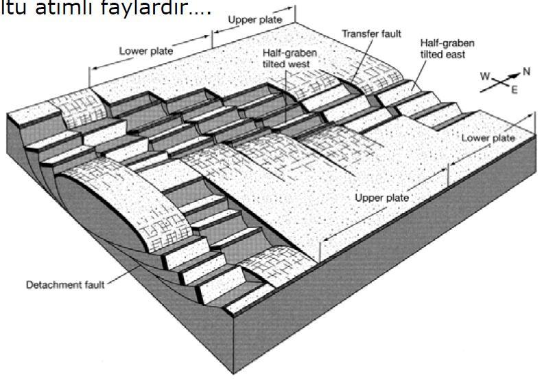 3. Transfer Fayı İki normal fayı birleştiren ve normal hareketi bir faydan diğerine aktaran doğrultu atımlı fay.