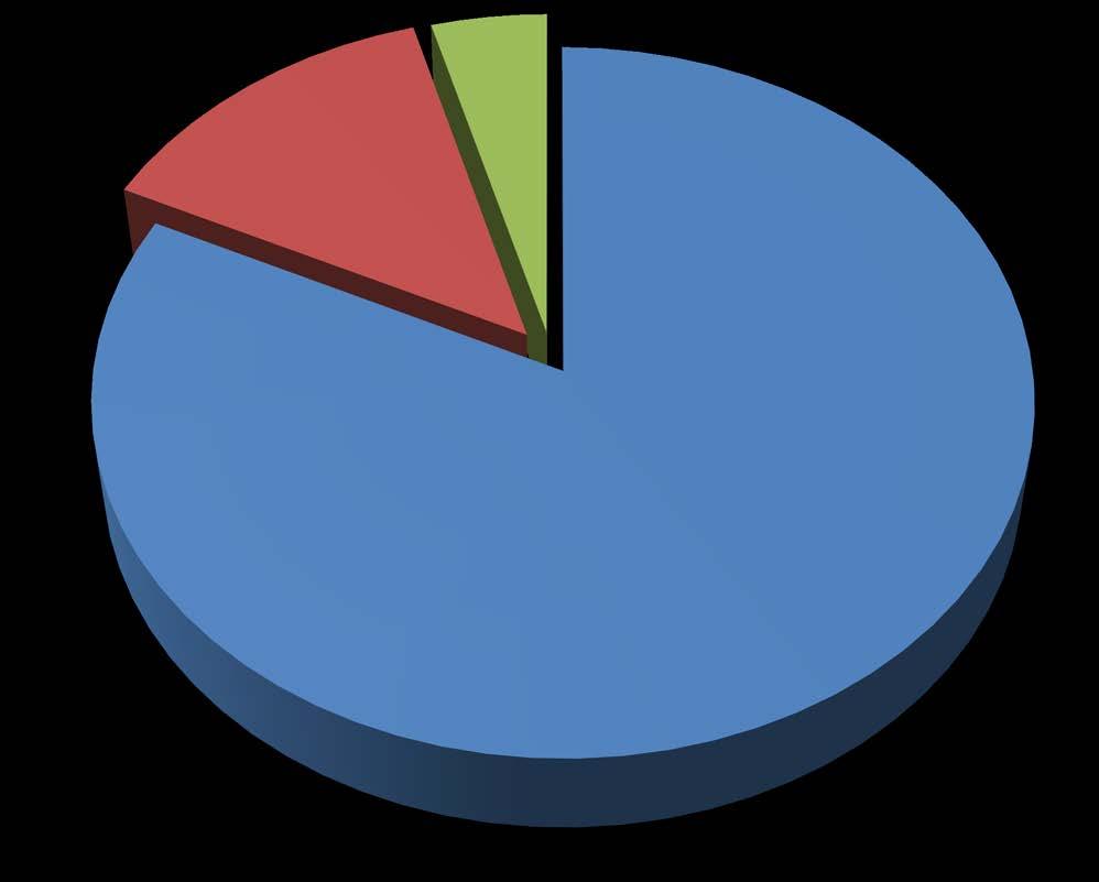 DAİRE BAŞKANLIĞIMIZ 2016 YILI BÜTÇE GİDERLERİ GRAFİĞİ 14% 4% Personel