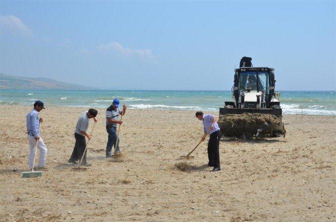 PLAJ KİRLİLİĞİ ÖLÇÜM YÖNTEMİ Plajın daima temiz ve bakımlı tutulması, plajda çöp bulunmaması Mavi Bayrak ödüllü bir plaj için zorunlu