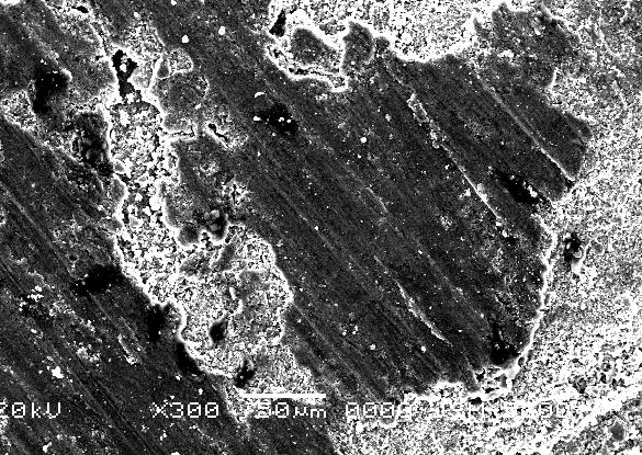 89 Kayma yönü Resim 5.26. 14,39 µm tane boyutuna sahip 3,5 saat alaşımlama yapılmış % 15 SiC içeren MMK in SEM fotoğrafı (X300) Resim 5.27-5.