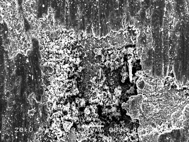 % 5 SiC içeren MMK in SEM fotoğrafı (X300) Resim 5.31.