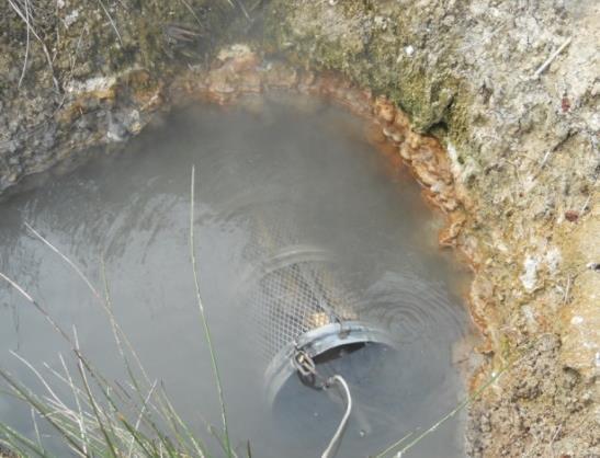 1.2. Jeotermal kaynaklar Çalışmada, İzmir-Seferihisar-Doğanbey kaplıca alanı jeotermal kaynak suları kullanılmıştır (Şekil 1).