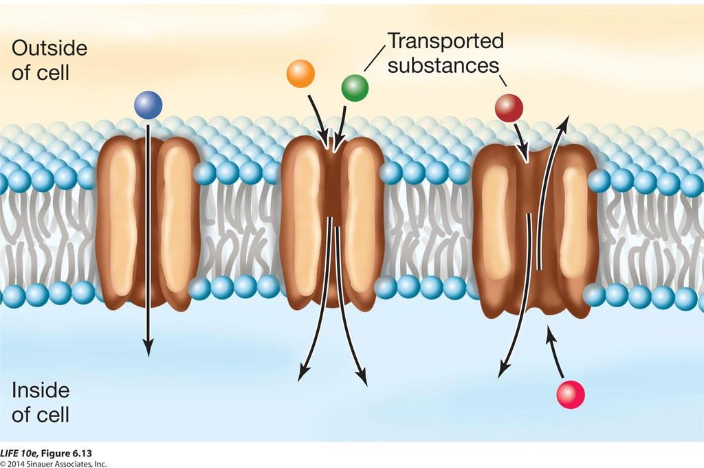 Figure 6.