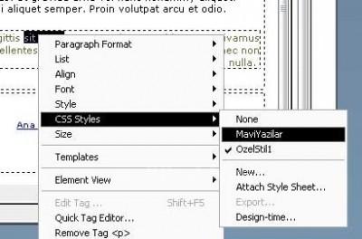 Sa? tu?u kullanarak stil uygulamak DW MX ile gelen çok kullan??l? bir özellik olan Design time style sheet özelli?i; özellikle profesyonel tasar?mc?lar?n ba? balesi olan ve include ya da dosyalar?
