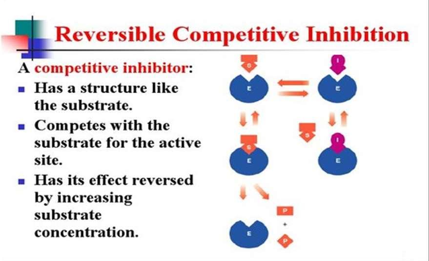Kompetetiv inhibitör yapı Olarak S la benzerdir (analog) İnhibitör enzim aktif