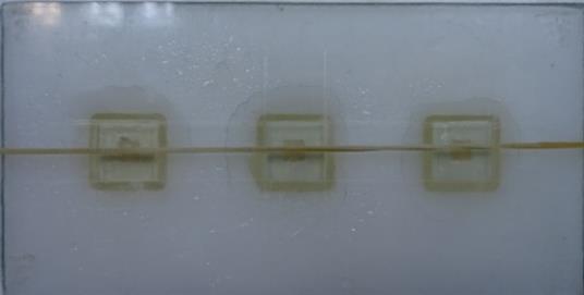 Kavite merkezinde bulunan delikten taşan fazla akril temizlendikten sonra örnekler ekstromata (Resim 3.