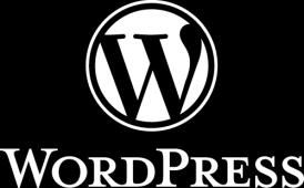 İnternet WordPress ile web