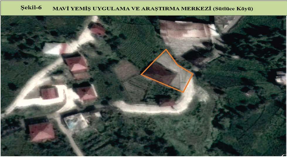 Sütlüce Köyünde köy tüzel kişiliğine ait 912 m 2 alanda Maviyemiş Uygulama ve Araştırma Merkezi