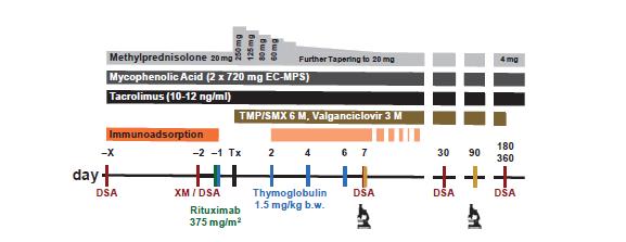 fonksiyone ve DSA MFI düşük Tedavi yanıtlı AMR 3 hastada görülmüş IA+ Rituximab