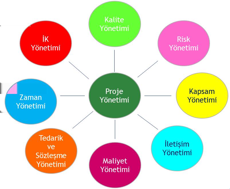 kurulma sürecidir. Proje Risk Yönetimi: Proje risklerinin tanımlandığı, çözümlendiği ve önlemlerin alındığı süreçleri tanımlar.