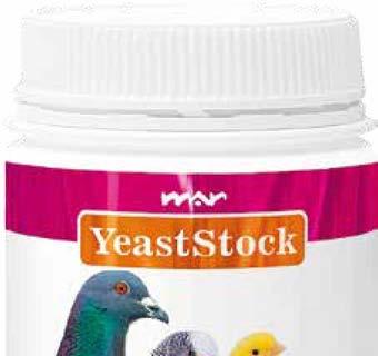 YeastStock Kafes Kuşları İçin İnaktif Bira Mayası 8698931091116 YeastStcok; kanarya, muhabbet kuşu, güvercin, tropikal kuşlar gibi kafes kuşlarının sağlıklı gelişimini destekleyen İnaktif Bira