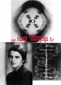 Rosalind Franklin DNA ın yapısını kuramsal