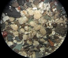 Çalışma alanında Kretase yaşlı birimlerden Karababa A üyesi, Orta Triyas-Alt Kretase yaşlı Cudi Grubu ve Erken Silüriyen-Erken Devoniyen yaşlı birim olan Dadaş Formasyonu kaynak kayaç potansiyeline