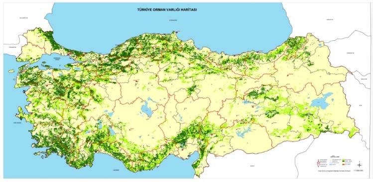 TOPOGRAFYA