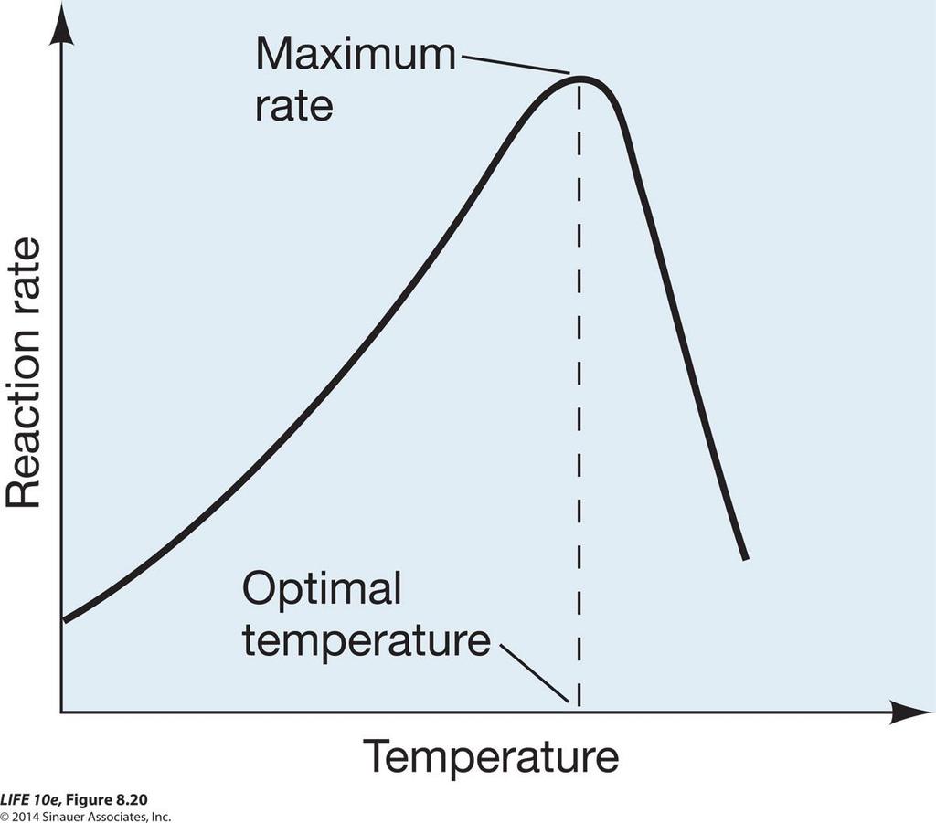 Figure 8.