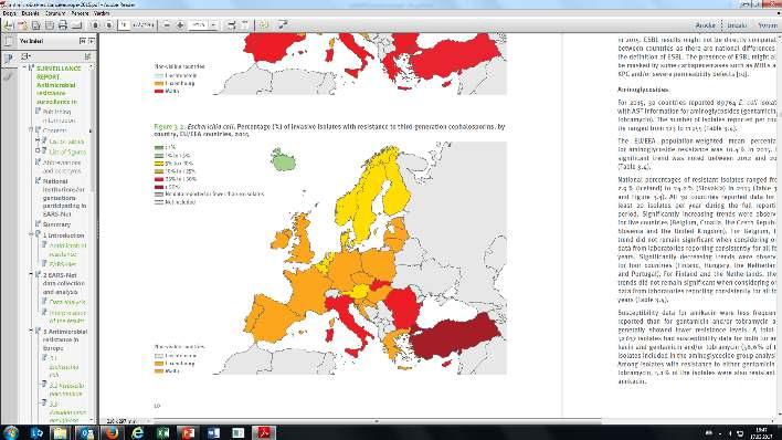 İnvaziv E.coli izolatlarında 3. kuşak sefalosporin direnç yüzdeleri AB Ülkeleri ve Türkiye 2012 Türkiye: % 42 AB Ort: %11.