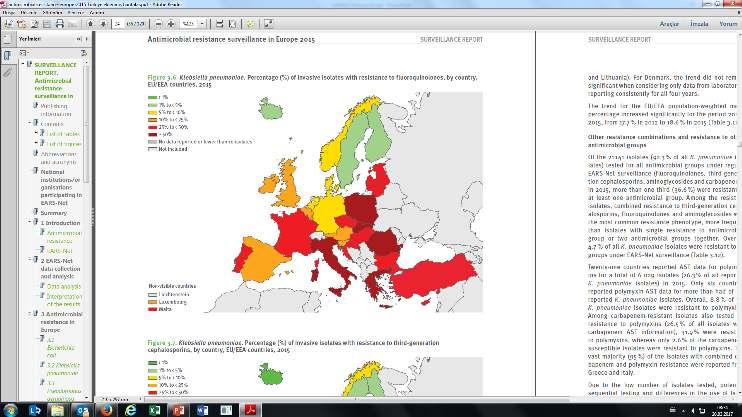 İnvaziv K.pneumoniae izolatlarında florokinolon direnç yüzdeleri, AB Ülkeleri ve Türkiye 2012 Türkiye: %37 AB Ort: %25.