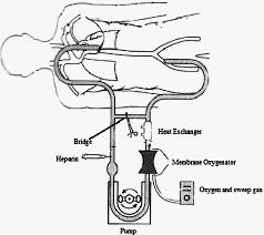 Eritrositopoez kömür system) kartuşu Elektrolit Sıvı Yarı-geçirgen