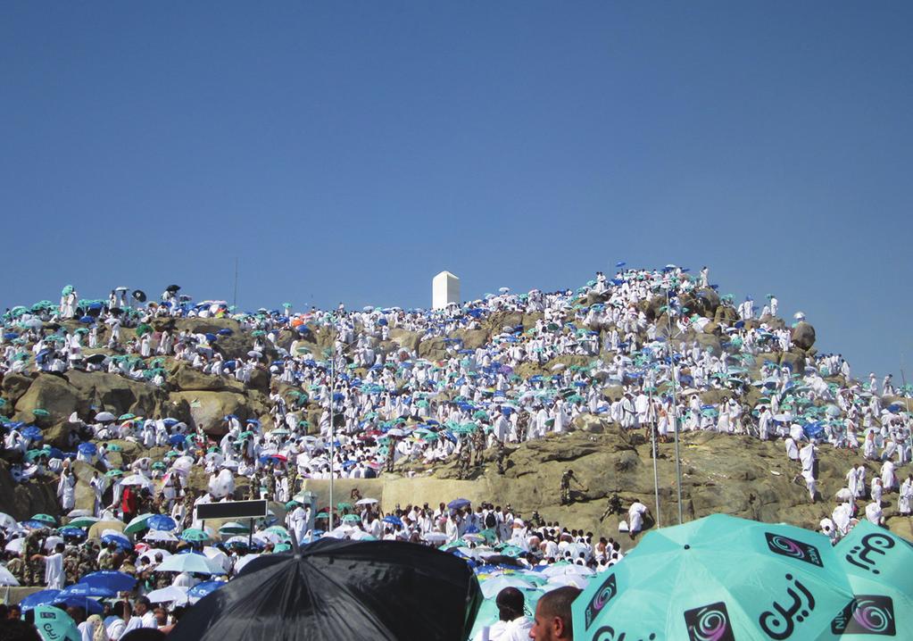 sıra Peygamberimizin kabrinin bulunduğu Medine şehrine gidilir ve Peygamberimizin kabri ziyaret edilir. Resim. 02.04: Arafat dağı.? Haccın faydaları nelerdir?