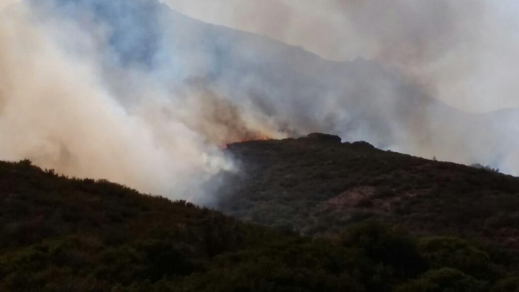 Bodrum da 35 hektar yandı Bodrum yarımadasının kuzey batı bölgesinde çıkan yangın etkili oldu.