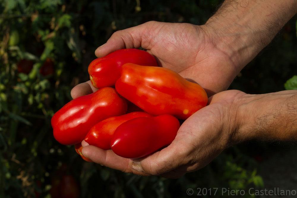 indications Con la raccolta "Attraverso la cucina", il fotogiornalista Piero Castellano presenta allo spettatore una raccolta di immagini emblematiche e rappresentative del concetto di dieta