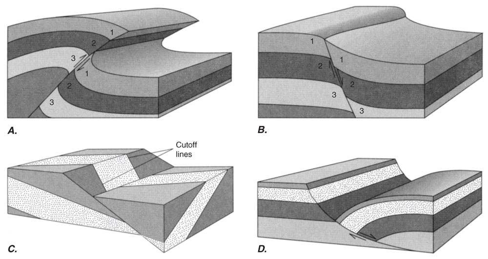 C Sürüklenme (Drag) Kıvrımlar Fay bloklarındaki tabakaların uç kısımlarında fay düzlemine yaklaştıkça kıvrımlanma görülür.