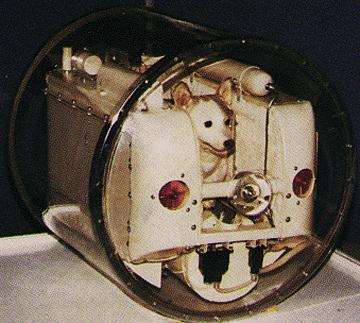 SPUTNİK-2 :uzayda ilk canlı Özel bir mikrofonla kalp içinden gelen sesleri kaydetmeyi sağlayan bir