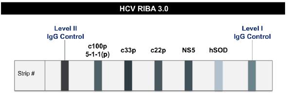 Rekombinant İmmünoblot Testi (RIBA) HCV RIBA artık Amerika Birleşik Devletleri'nde kullanılmıyor HCV RIBA testi, HCV