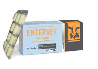 ENTERVET Oral Tablet Entervet Oral Tablet, açık sarı renkli ortası çentikli tablet olup, bir tablet 900 mg neomisin sülfat içerir. Neomisin Strep.