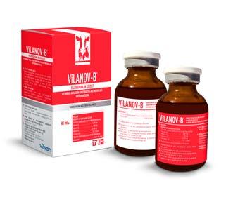 VİLANOV-B Enjeksiyonluk Çözelti VİLANOV-B Enjeksiyonluk Çözelti, 10 ml lik çözelti içeriği (kırmızı etiketli flakonlarda): Vitamin B 1 1.000 mg Vitamin B 6 100 mg Vitamin B 12 4.