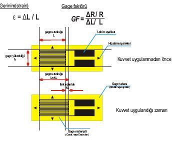 yapıştırıcı ile yapıştırılmasından oluşmuştur (Şekil 3.3).