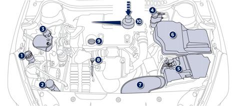 Kontroller Dizel motorlar Değişik sıvıların seviyelerinin kontrolüne, bazı elemanların değişimine ve yakıt devresinin tamamlanmasına erişim sağlar. 1. Hidrolik direksiyon deposu. 2.