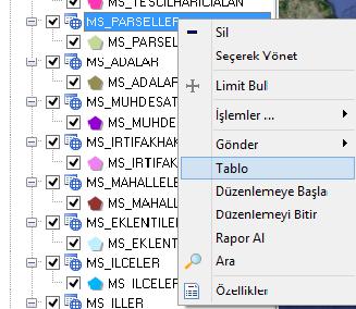 TKGM tablolarında Parsel tablosu üzerinde sağ