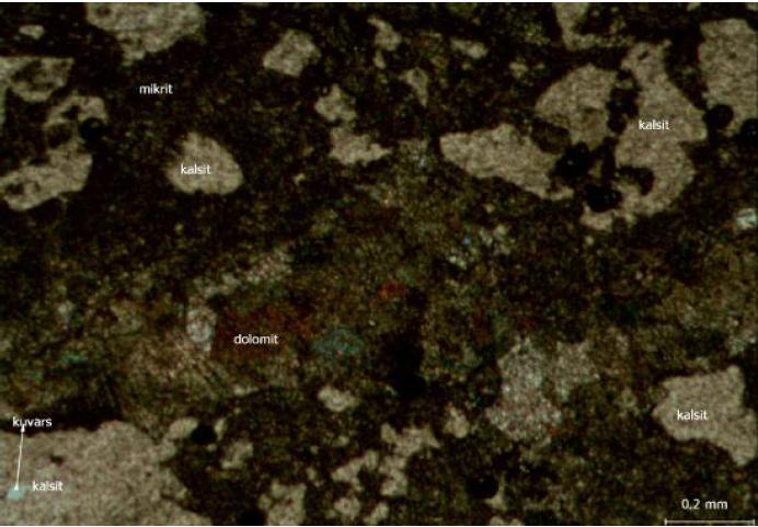 Dolomit ve detritik kuvarsa da çok seyrek olarak rastlanır. Şekil 4.1.