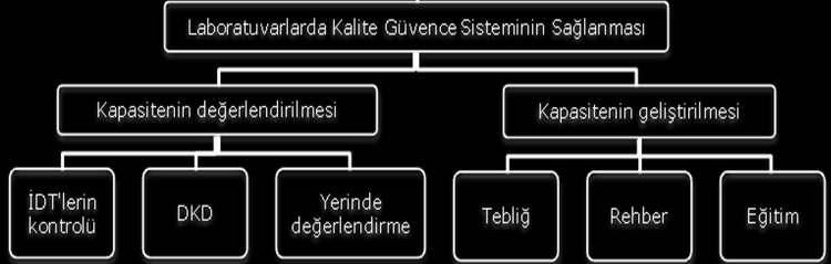 olgularının %50 sinde kültür pozitifli i Kültür pozitiflerin