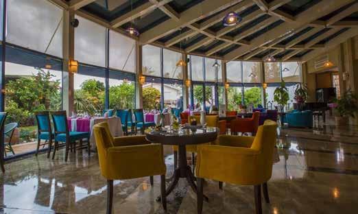 Yeni Boğaziçi Gazimağusa da yer alan otel, çam ağaçları içinde eşsiz doğa güzelliği bulunan egzotik bir tatil kompleksidir.