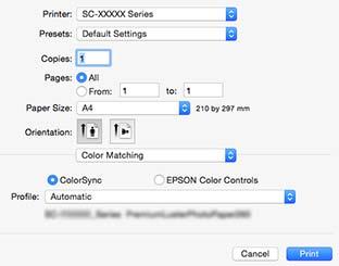 Main (Ana) ekranda Media Type (Ortam Türü) seçeneği için Epson özel ortamı seçildiğinde, ortam türüyle ilgili yazıcı profili otomatik seçilir ve Printer Profile Description (Yazıcı Profili Tanımı)