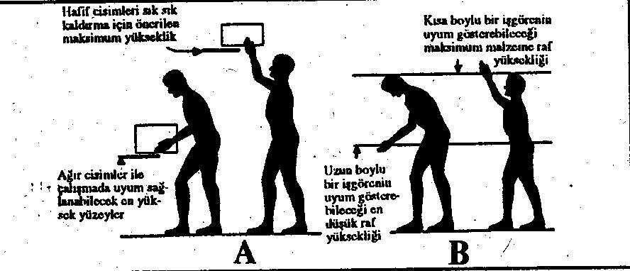 Tasarımda antropometrik ölçüler kullanılırken aşağıda belirtilen üç yaklaşımdan biri tercih edilmelidir.