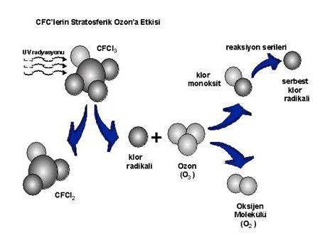 2.3 CFC lerin Ozona Etkisi CFC türü soğutkanlar klor ve brom içeren bileşiklerdir. Bu nedenle Ozon tabakasının dolaylı olarak incelmesine ve ayrıca sera etkisine neden olurlar.