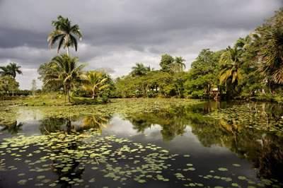 Havana Domuzlar Körfezi Cienfuegos (K, Ö, A) Domuzlar Körfezi Müzesi Cienaga de Zapata Ulusal Parkı Sosyalist Küba nın ABD ye