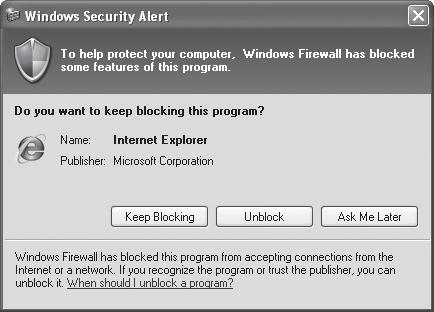5. Windows Güvenlik Duvarı ile bu kurulumu engellemeye çalışan Windows Security Alert görüntülenebilir. Bu durumda, Web Görüntüleyiciyi başlatmak için <Unblock> seçeneğini tıklatın. 6.