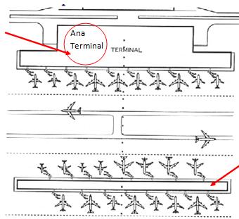 uçaklara taşınmaktadır. Gelen yolcular ve bagajları, karşılıklı bir akış halinde işleme tabii tutulmaktadır (Şekil 2.10) (SHGM, 2009). Uydu Şekil 2.9. Uydu tipi terminal planı (Trani, 2002) Ana Terminal Şekil 2.