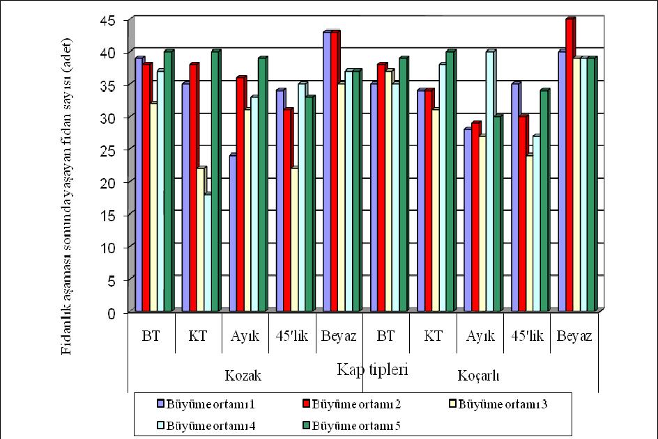 Çizelge 4.83. Büyüme ortamlarına göre yaşayan fidan sayısının Duncan testi Büyüme ortamları Ortalama Sıralama 5 37.100 a 2 36.200 a 1 34.700 a 4 33.900 ab 3 30.000 b Çizelge 4.84.