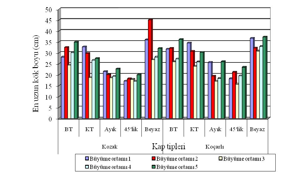 Orijinlere göre büyük hacim ve derinliğe sahip kap tiplerinde yetiştirilen fidanların kök boylarının diğer kap tiplerinde yetiştirilen fidanlara göre genellikle daha uzun oldukları görülmektedir.