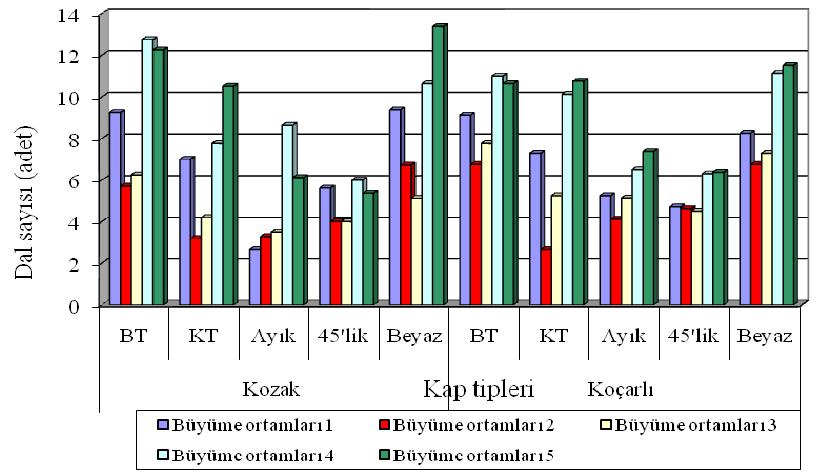 (%90)+ orman toprağı (%10)] büyüme ortamlarında yetiştirilen fidanlar daha fazla dal sayısına sahiptir. Şekil 4.6.