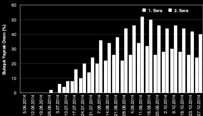 Bundan sonraki haftalarda zararlı popülasyonu giderek artmaya başlamıştır. 7 Ağustos 2014 tarihinde seralarda yakalanan ergin birey sayısında ilk pik noktası kaydedilmiştir.