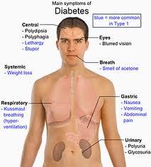 Diabetes Mellitus un Klinik Belirtileri Her zamankinden daha fazla susama ve su içme, Her zamankinden daha fazla acıkma ve yemek
