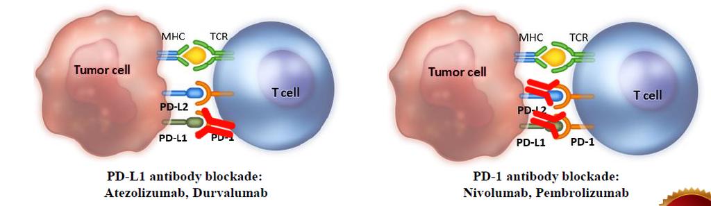 NSCLC de PD-1 ve